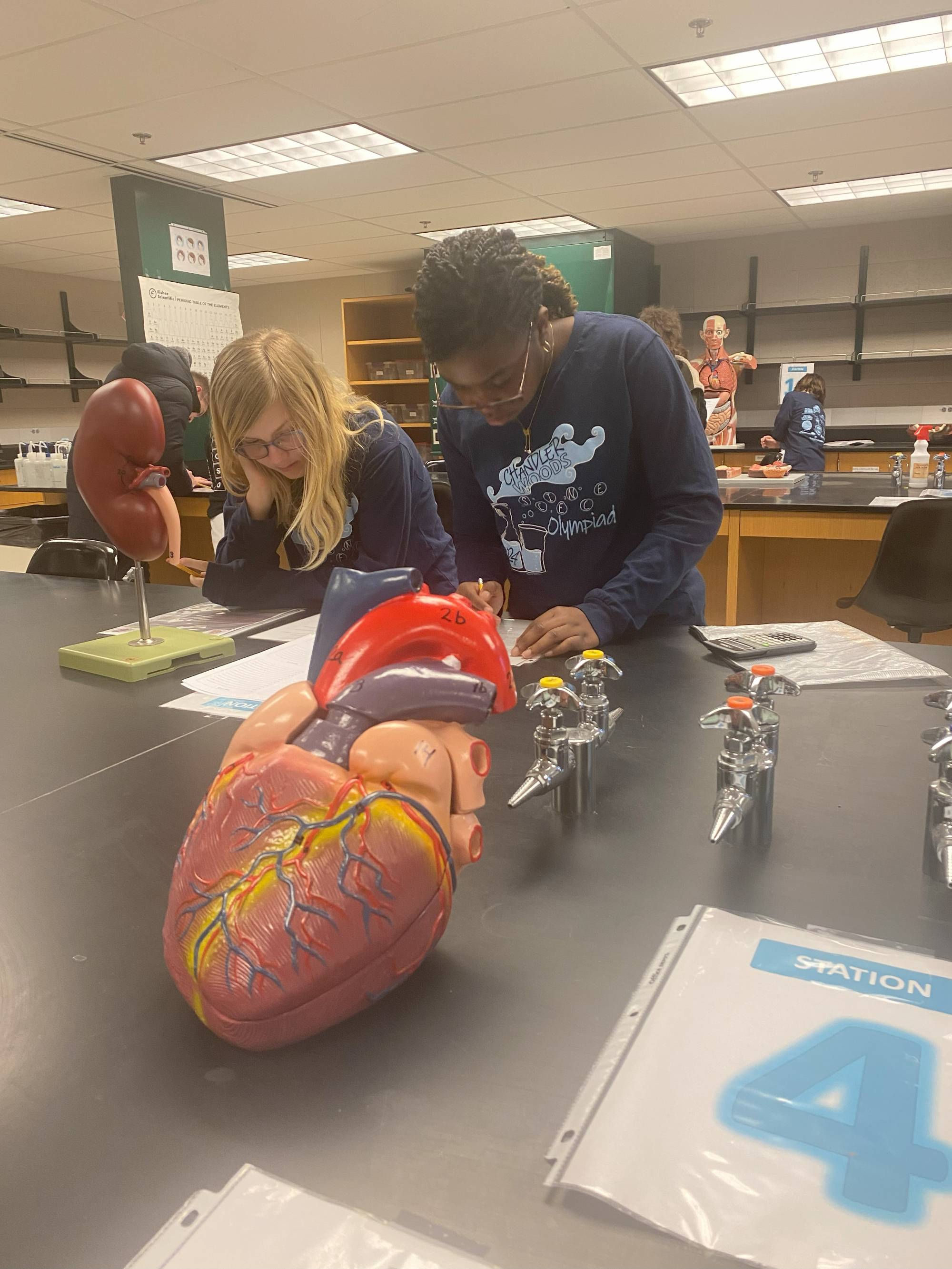 Girls working at science lab